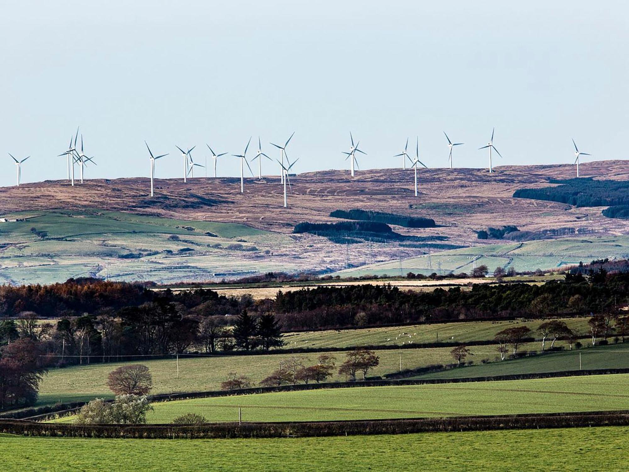 Vila Wheatfield House Kilmaurs Exteriér fotografie